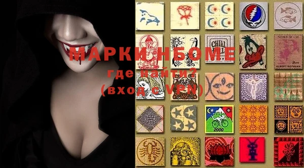 индика Кулебаки
