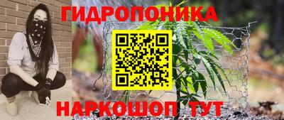 бошки Берёзовский