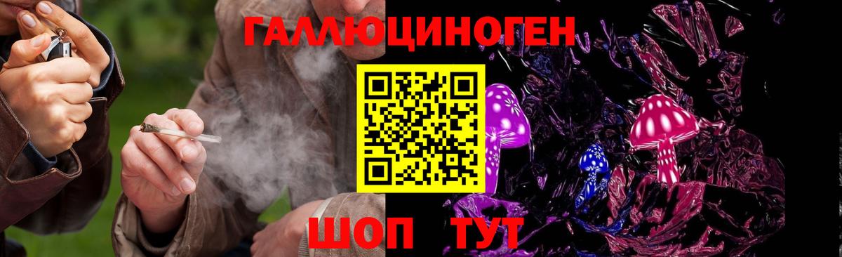 Псилоцибиновые грибы Cubensis Новочебоксарск